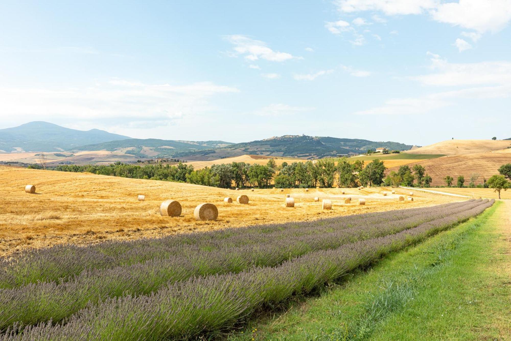 Selvoli - La Chiocciola Pienza